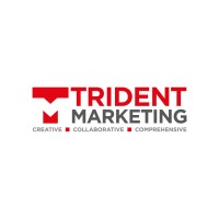 Trident Marketing Anglia Ltd logo - Similar company to Igloo