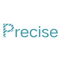 Precise Tech. logo - Similar company to Ubbasoft