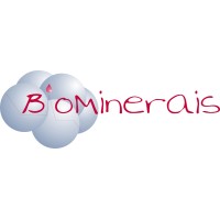 Laboratório Biominerais Análises Químicas e Clínicas Ltda. logo - Similar company to Icasa - Instituto Campineiro De Análise De Solo E Adubo Ltda.