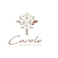 Carole La porte à côté logo - Similar company to Artecolorvisual