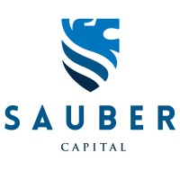 Sauber Capital logo - Similar company to Vyv