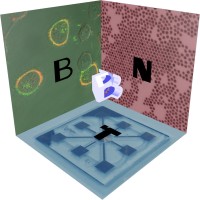 BioNanoTechnology logo - Similar company to Functional Nanomaterials And Surfaces