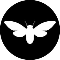 Cicada Creative