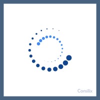 Consilix AG logo - Similar company to Molisem