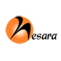 nesaraFilms logo - Similar company to Whichcraft