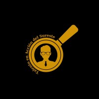 Talento en Acción del Sureste logo - Similar company to Biochem Diagnostic