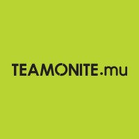 Teamonite.mu logo - Similar company to Digicode Mauritius