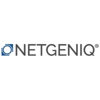 NETGENIQ logo - Similar company to Ingeniq