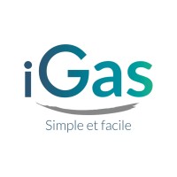 iGas logo - Similar company to Igas Technology Solutions Ltd