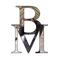 Brunton Media logo - Similar company to Coach Sushil Arora