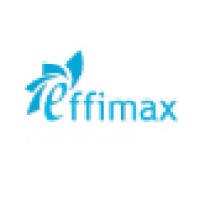 Effimax Process Systems Private Limited logo - Similar company to Galvo Steel Doors