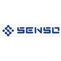 Senso.Capital logo - Similar company to Dewzilla
