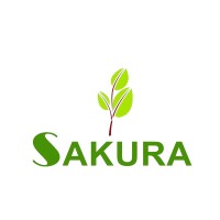 SAKURA EGYPT logo - Similar company to A  Armani