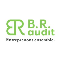BR Audit logo - Similar company to Optima Conseils