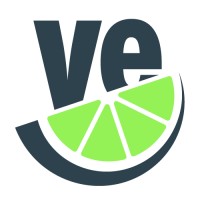 Vitamin Empathie - Die Führungsakademie logo - Similar company to Mhm Hr Gmbh