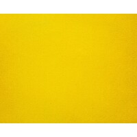 VA logo - Similar company to Planetwonk