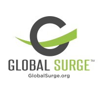 Global Surge logo - Similar company to Twa Inc.