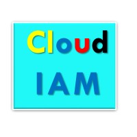 Cloud IAM Ltd logo - Similar company to Cloud-Iam