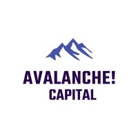Avalanche! Capital logo - Similar company to Avalanche Consulting