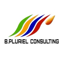 BPluriel Consulting logo - Similar company to Fédération Royale Marocaine De Boxe