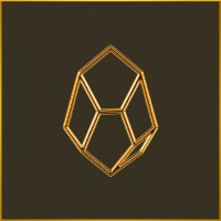 Onix Jr. Consultoria