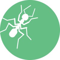 Instinct de Fourmi logo - Similar company to Particule