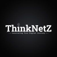 ThinkNetz logo - Similar company to Microage Kingston