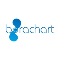 BORACHART logo - Similar company to Efe Chartering Ltd.