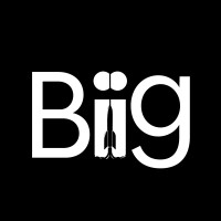 Biig Africa logo - Similar company to Maltese Technologies