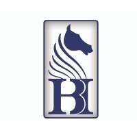 Blue Horse Auto