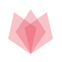 SoGal Foundation logo - Similar company to Ness Wellness
