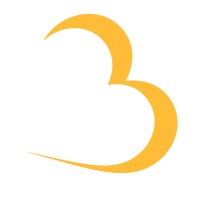 Baron Beach Hotel logo - Similar company to Hotel Lady G