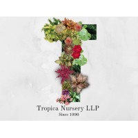 Tropica Nursery LLP logo - Similar company to Forest Studio Labs