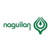 NAGUILÁN logo - Similar company to Realsure