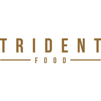 TRIDENT FOOD HOLDINGS, INC logo - Similar company to Trident Holding Group