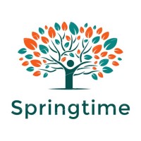 55Springtime Consulting Pvt Ltd logo - Similar company to Goldeneye