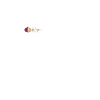 The Onion Baji Dubai logo - Similar company to Daily Onions