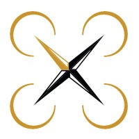 Drone Survey logo - Similar company to Drone Survey Solutions
