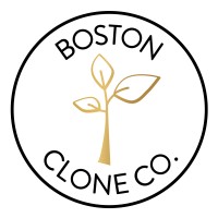 Boston Clone Co. logo - Similar company to C4 Usa