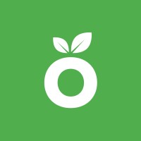 VITEO_UA logo - Similar company to Boldbrandz