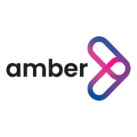 Amber | Tu solución digital logo - Similar company to Gestión, Organización Y Recursos Logro, S.L.