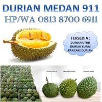 Call WA 0813 6911 6911 Supplier Daging Durian Medan Di Makassar logo - Similar company to Durian Medan
