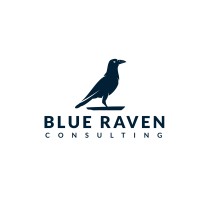 Blue Raven Consulting logo - Similar company to Bender Cfo Services