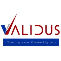 Validus Fintech Services Pvt Ltd logo - Similar company to Validus Group