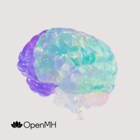 OpenMH logo - Similar company to Chirpy Ai