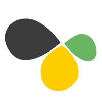 Axinntus logo - Similar company to P&S Seguridad Y Proyectos