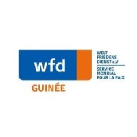 Weltfriedensdienst Guinee logo - Similar company to Sdc Holding
