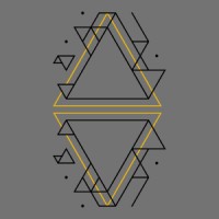 Isomer Industries logo - Similar company to Kam Consulting (Pty) Ltd