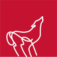 Wolfe Design Marketing