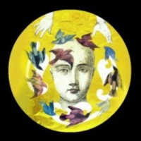 Mascall Dance logo - Similar company to Anydoko